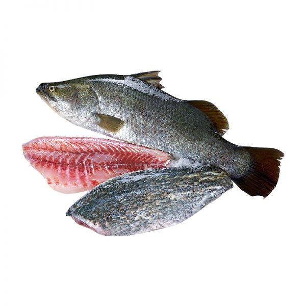 Modtha Fish SIKEN BIG(MODHA FISH) | Safari Online - Shop Online from Safari Mall
